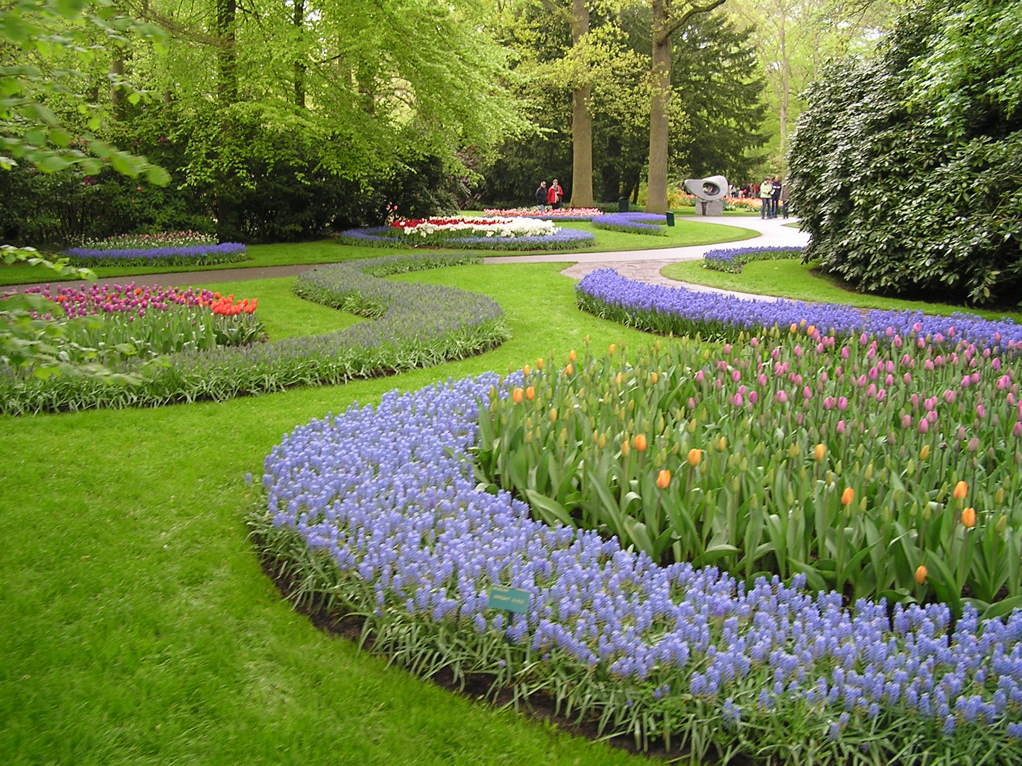 P1010474.JPG