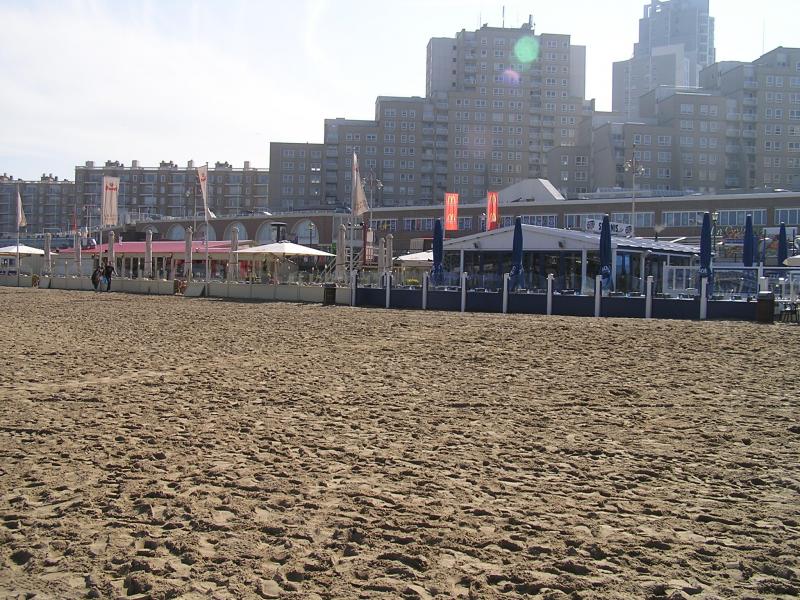 P1010035.JPG