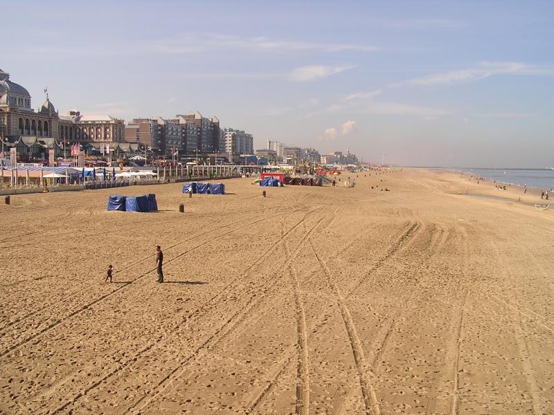 P1010045.JPG