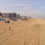 P1010045.JPG