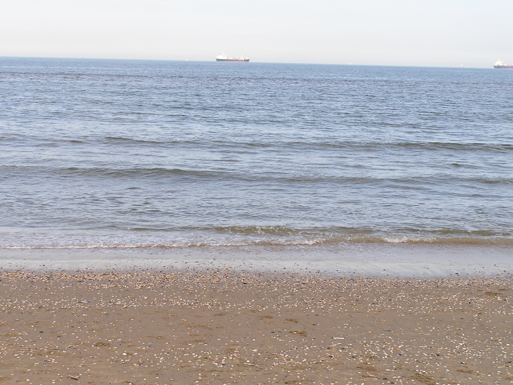 P1010088.JPG