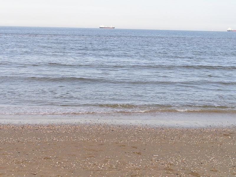 P1010088.JPG