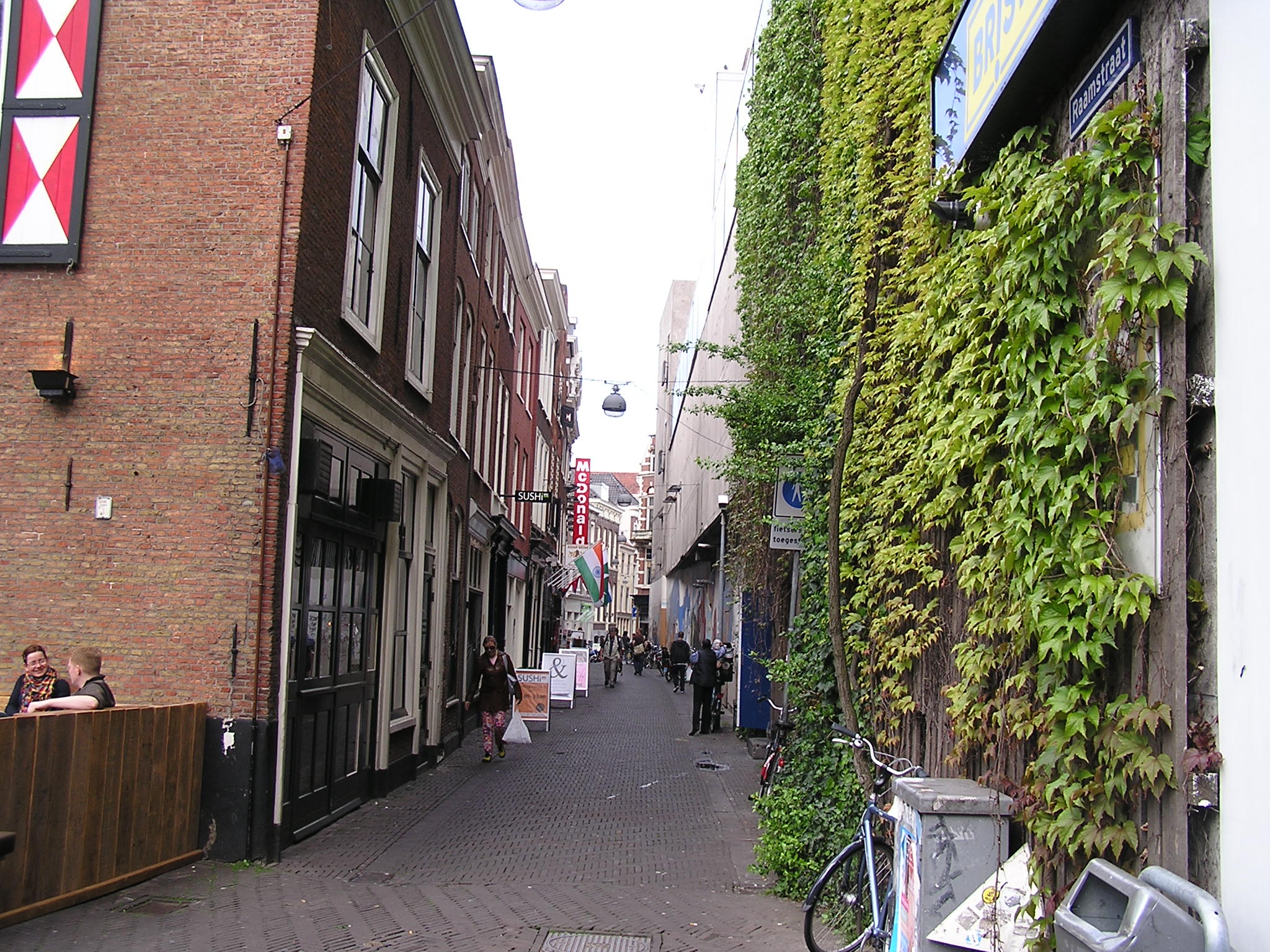P1010139.JPG