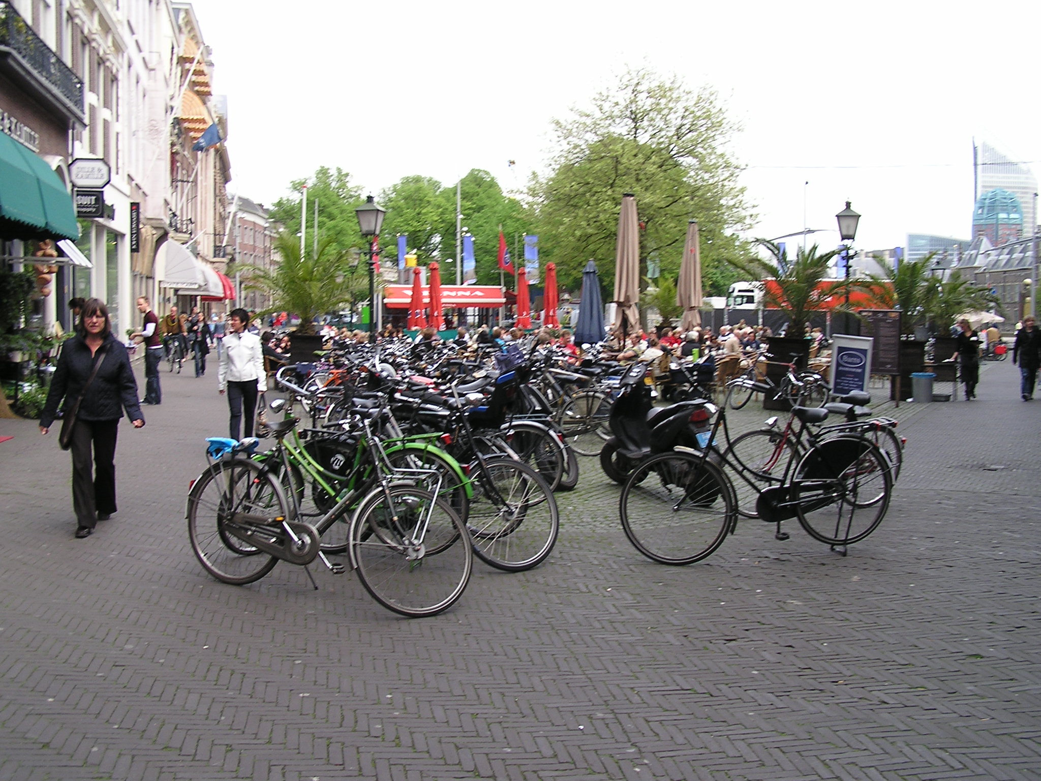 P1010151.JPG