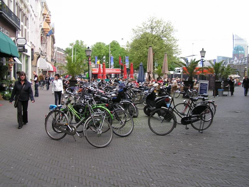 P1010151.JPG