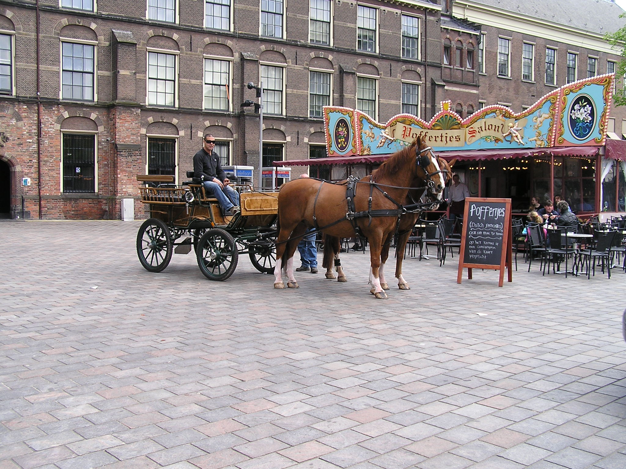 P1010161.JPG
