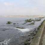 2009. 04. 26. - Hoek van Holland