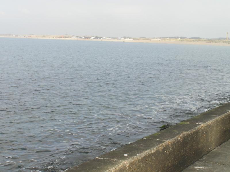 P1010074.JPG