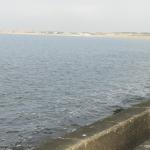 P1010074.JPG