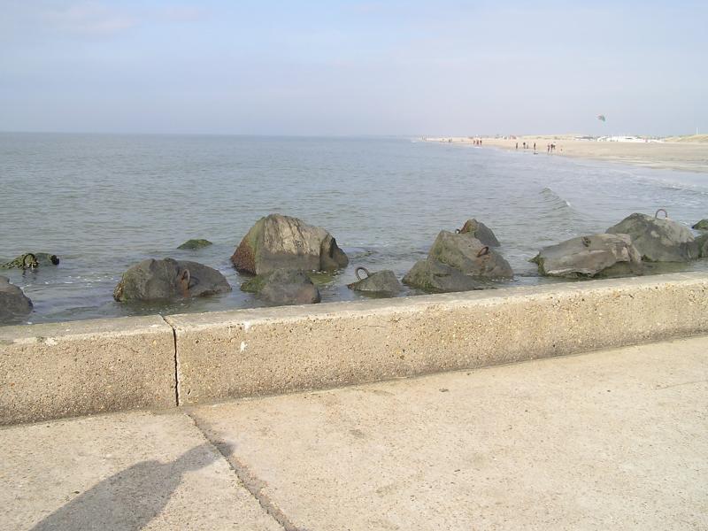P1010090.JPG