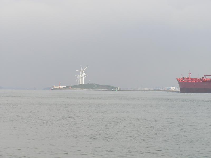 P1010094.JPG
