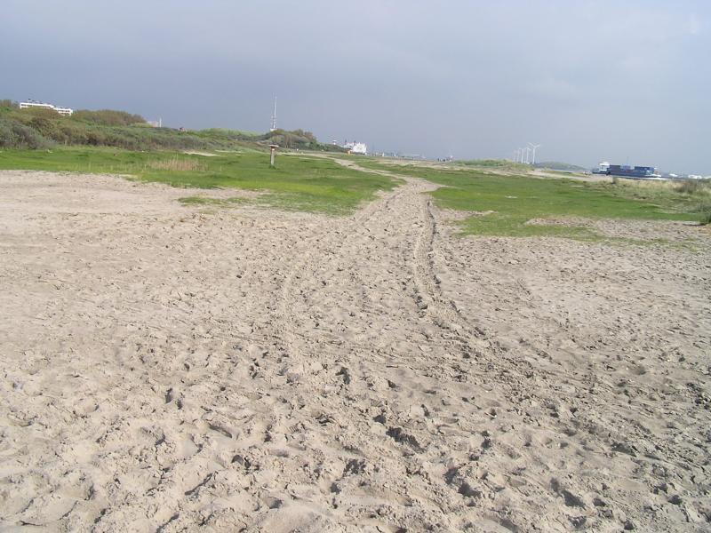 P1010114.JPG