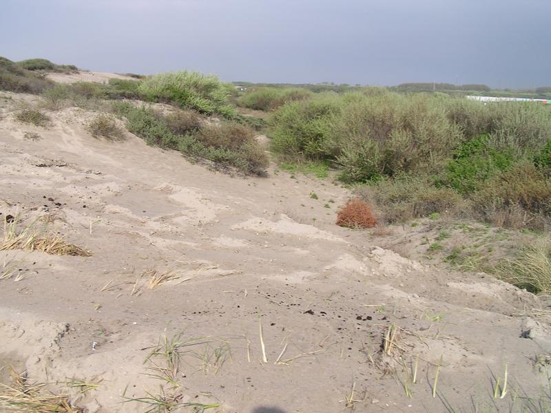 P1010116.JPG