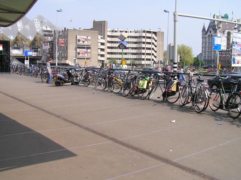 P1010013.JPG