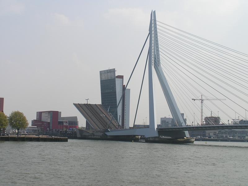 P1010020.JPG