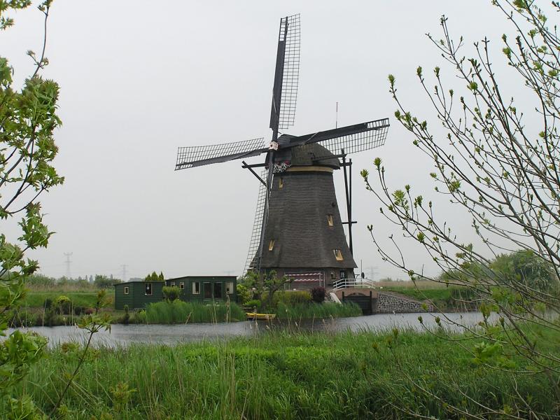 P1010020.JPG