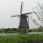 P1010020.JPG