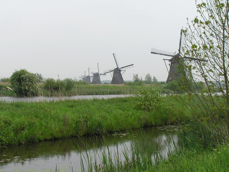 P1010021.JPG