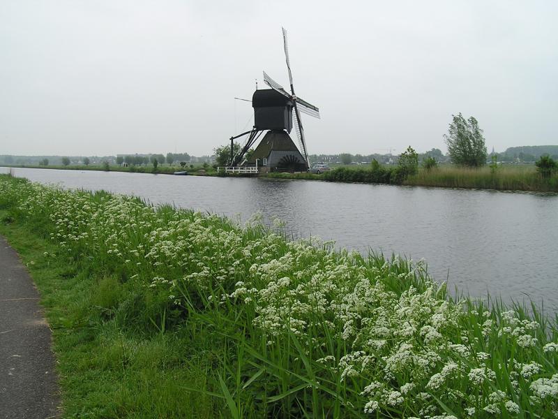P1010028.JPG