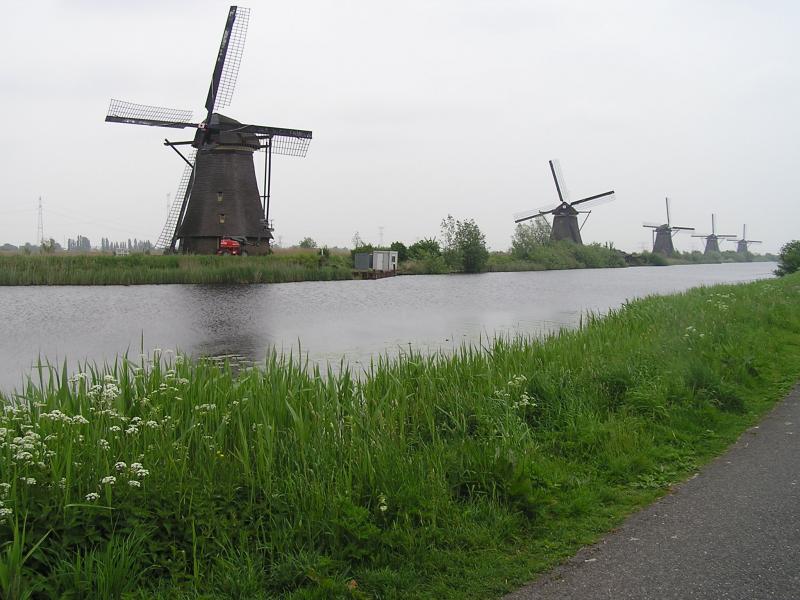 P1010029.JPG