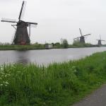 P1010029.JPG