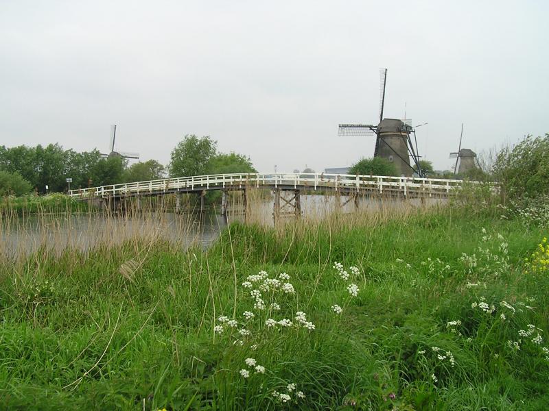 P1010030.JPG