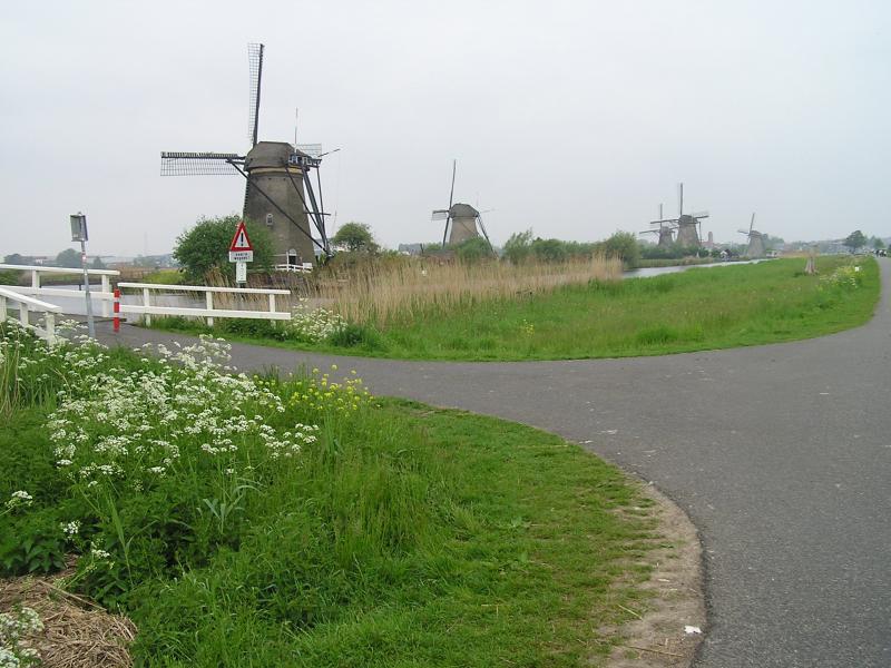 P1010032.JPG