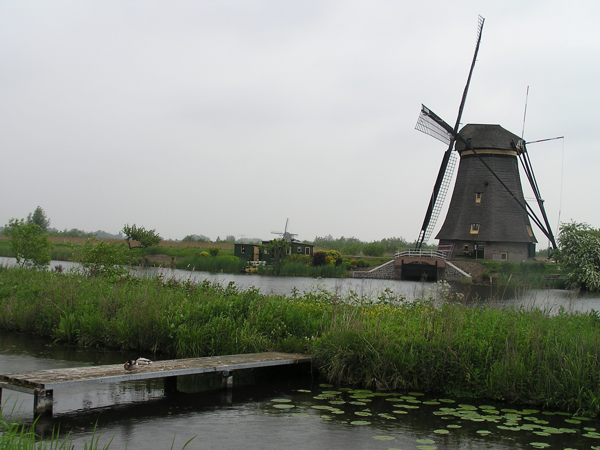 P1010033.JPG