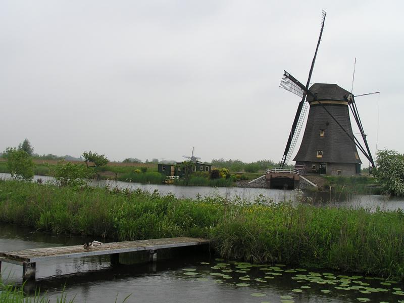 P1010033.JPG