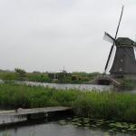P1010033.JPG