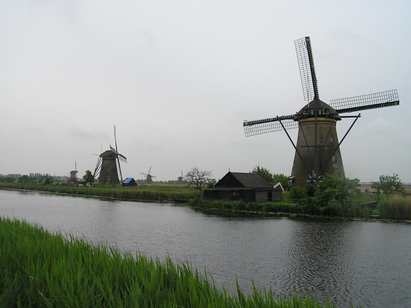P1010002.JPG