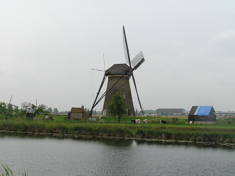 P1010006.JPG