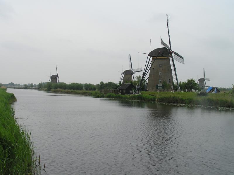 P1010008.JPG