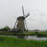 P1010013.JPG