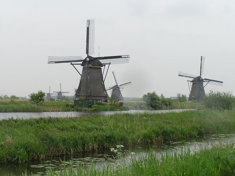 P1010016.JPG