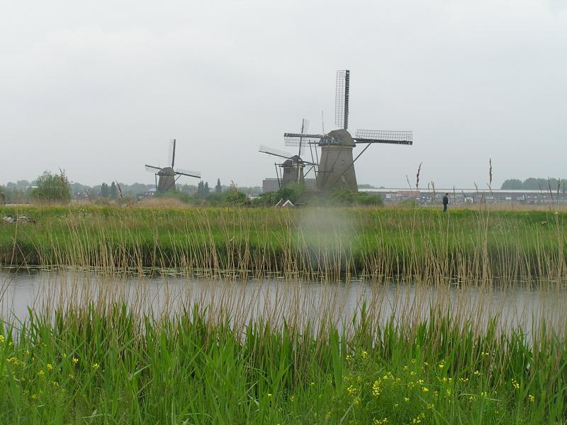 P1010017.JPG