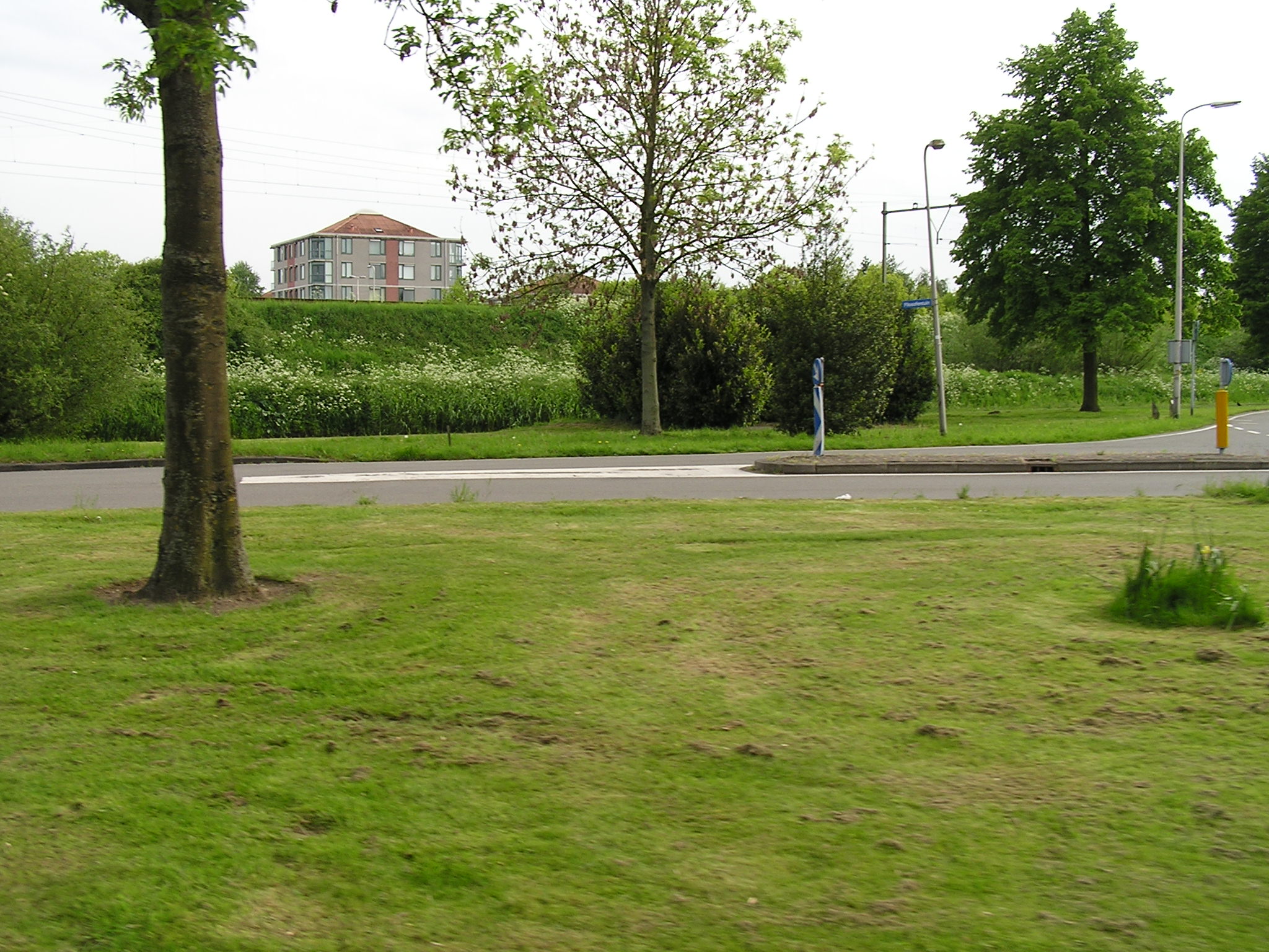 P1010108.JPG