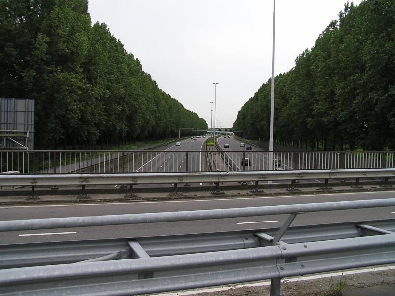 P1010002.JPG
