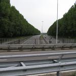 P1010002.JPG