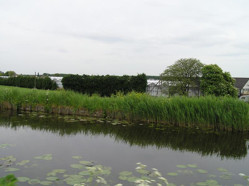 P1010008.JPG