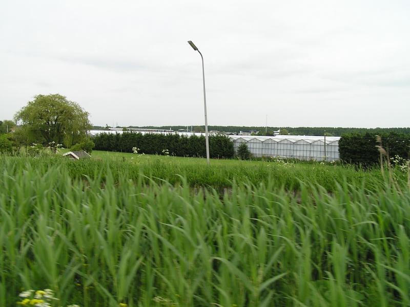 P1010009.JPG