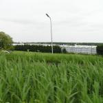 P1010009.JPG