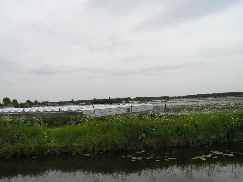 P1010013.JPG