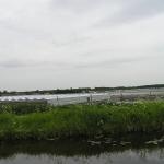 P1010013.JPG