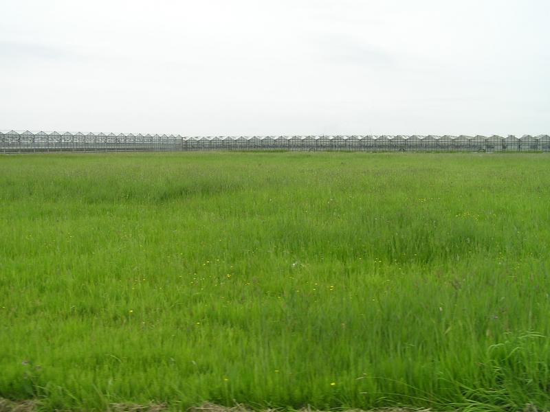 P1010015.JPG