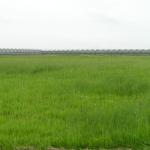 P1010015.JPG