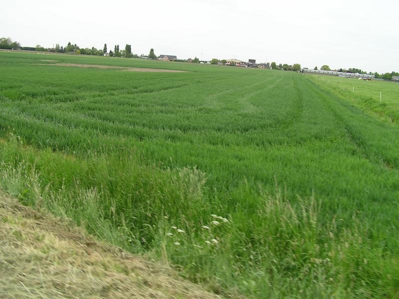 P1010018.JPG