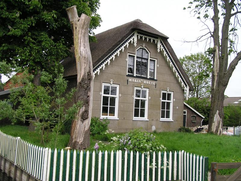 P1010020.JPG