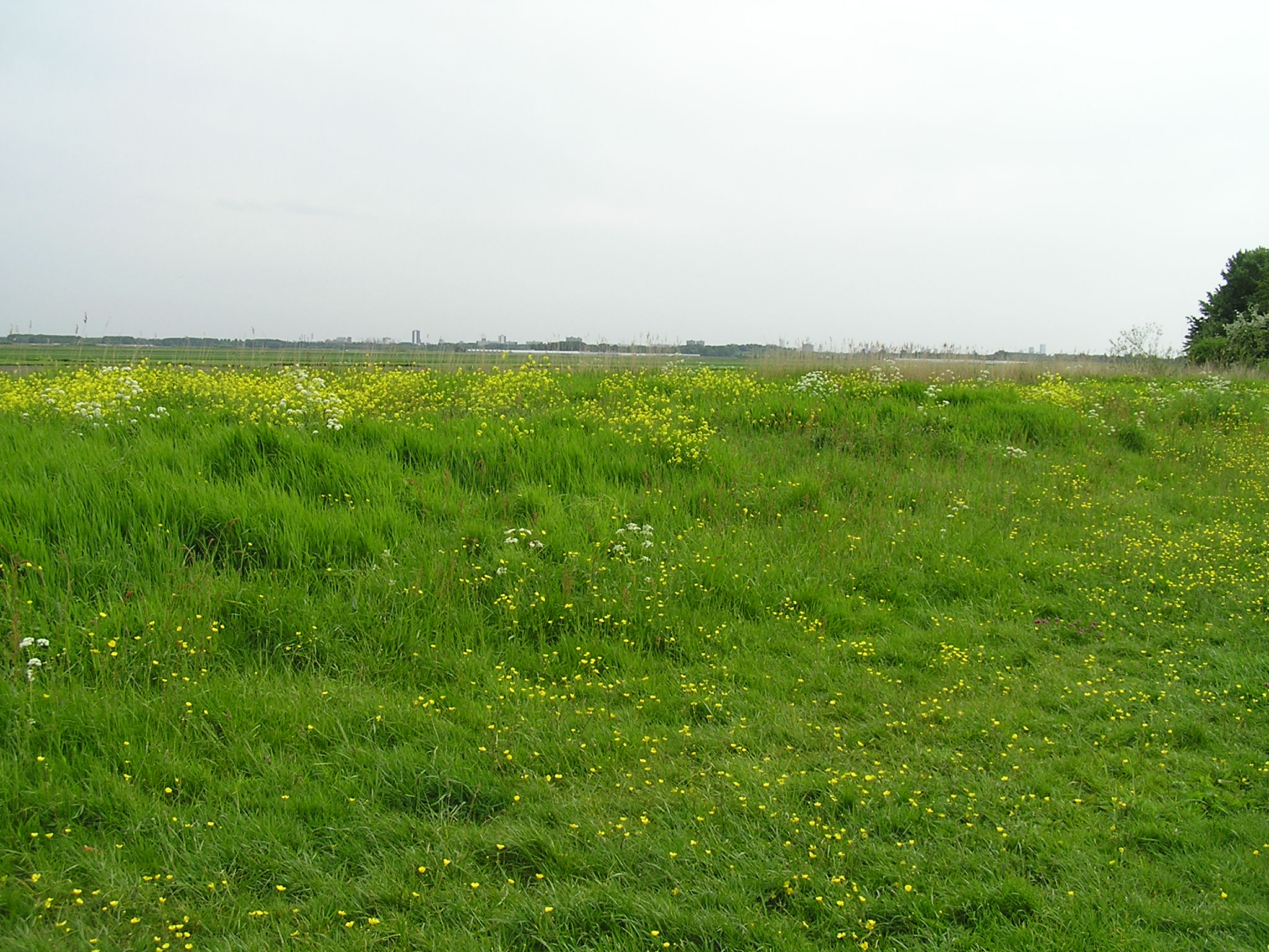 P1010035.JPG