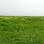 P1010035.JPG